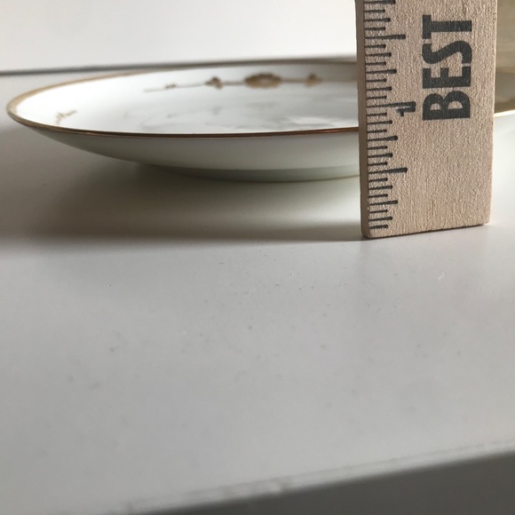 RARE Plate Altrohlau MZ CMR Czec Small Cabinet Display Plate Gold Flowers, Vtg - Picture 6 of 6